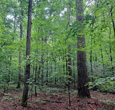 BigRidge_40-05