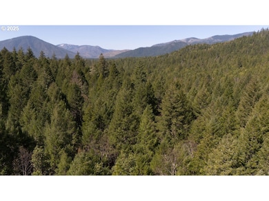 0 Davis Creek Rd, Selma, OR 97538 - photo 7