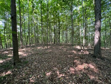 10.97 AC H R Huffer Rd, Allons, TN 38541 - photo 7