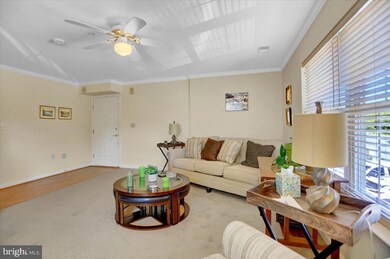 6502 Ridenour Way E unit 2A, Sykesville, MD 21784 - photo 6