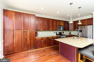 9023 Ribbon Falls Loop, Bristow, VA 20136 - photo 7