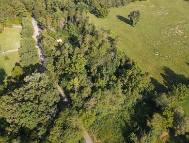 146 Lakeshore Dr, Burnside, KY 42519 - photo 7