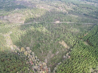 4-web-or-mls-DJI_0513