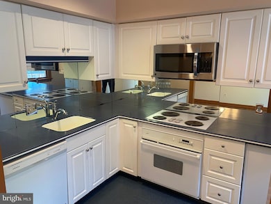 203 Bloomingdale Ave unit 6B, Wayne, PA 19087 - photo 5