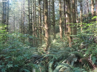 0 State Hwy 4 unit 7, Graysriver, WA 98621 - photo 5