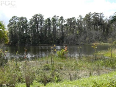 Lovely Lake And Nature Preserve In Your Back Yard!