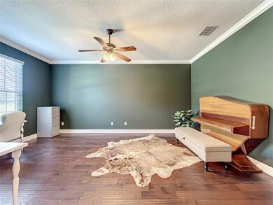 30301 Gidran Terrace, Mount Dora, FL 32757 - photo 6