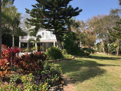 Side Garden
