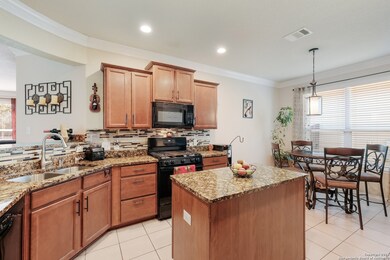 10834 Mustang Oak Dr, San Antonio, TX 78254 - photo 3