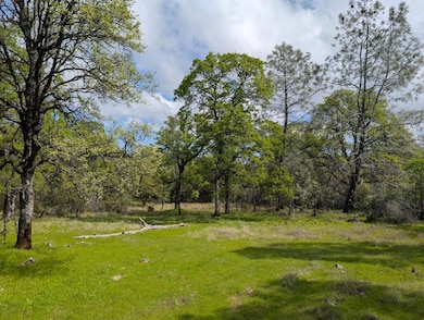 14677 Begonia Way, Oregon House, CA 95962 - photo 3