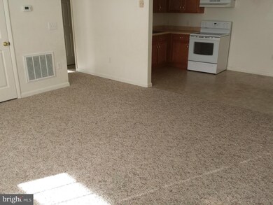 136 N Place Ln unit 8, Strasburg, VA 22657 - photo 4