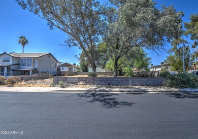 Lot 3