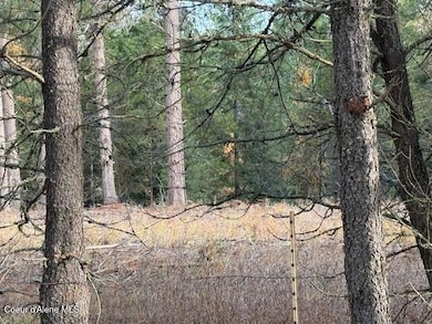 171 (temp) Bear Rd, Priest River, ID 83856 - photo 2