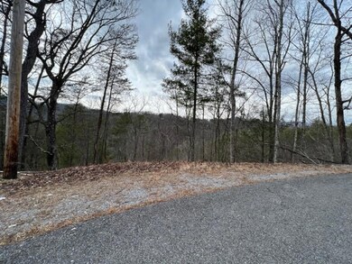 Lot 19 1