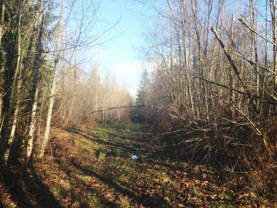 0 Lybecker Ln SE unit 732811, Rainier, WA 98576 - photo 3