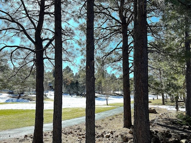 1710 N Fairway Dr, Flagstaff, AZ 86004 - photo 4