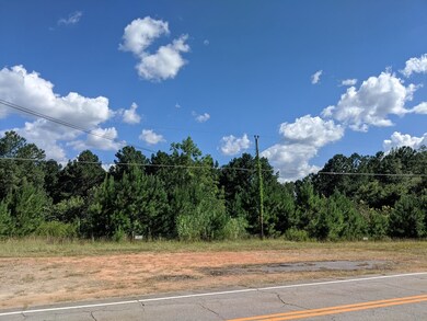 5266 White Oak Rd, Appling, GA 30802 - photo 5