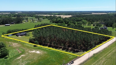 813 Vonier Road (6 Acres), Pavo, GA 31778 - photo 3