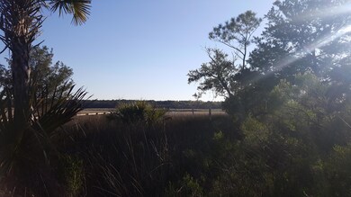 1456 Dupree Creek Rd, Awendaw, SC 29429 - photo 5