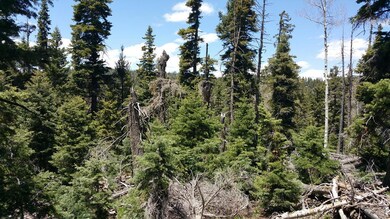 930 W Shale Cir unit ZVME E-130, Duck Creek Village, UT 84762 - photo 2