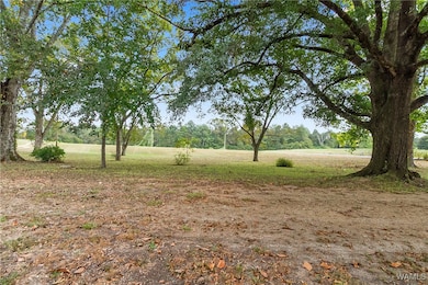 16699 Romulus Rd, Ralph, AL 35480 - photo 2