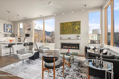 103 Willits Way unit 204, Basalt, CO 81621 - photo 6