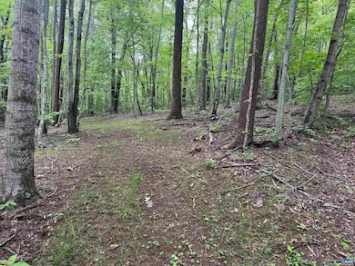 TBD Rabbit Valley Rd, North Garden, VA 22959 - photo 3