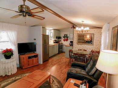 37837 Lagoon Ct, Zephyrhills, FL 33542 - photo 3