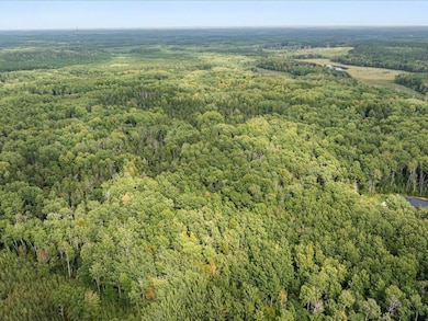 Lot J Sandbar Ln, Mission Township, MN 56465 - photo 4