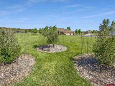 13633 25 2 Rd, Cortez, CO 81321 - photo 7