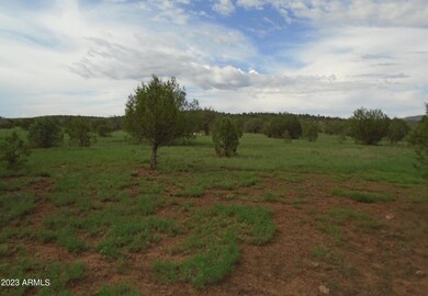 1802 Cumberland Rd, Williams, AZ 86046 - photo 3