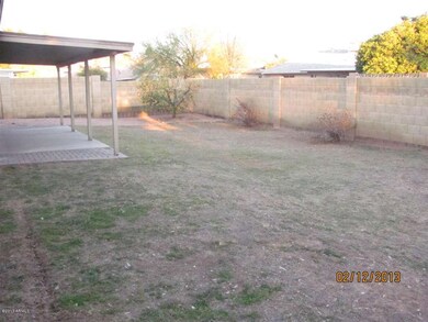 rear yard 1