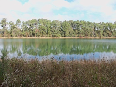 Pond view