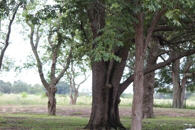 5315 Phillips Dr, Manvel, TX 77578 - photo 7