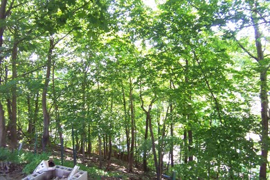 103 Gallup St unit 105, North Adams, MA 01247 - photo 2