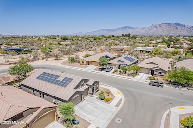 Sophora_Aerial-4