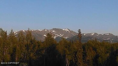 Summer View