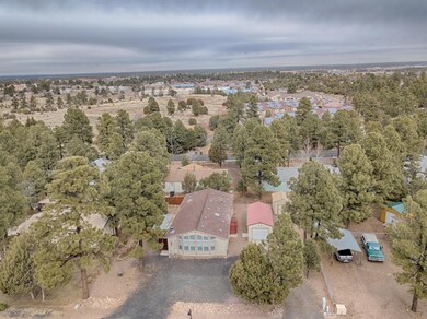 310 E Reidhead St, Show Low, AZ 85901 - photo 2