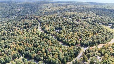 DJI_20240905110408_0213_D