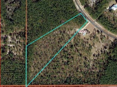 000 Hidden Horse Way, Tallahassee, FL 32305 - photo 2