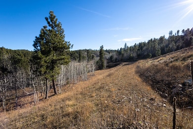 Lot 44 Noble Grand Loop, South Lawrence, SD 57785 - photo 7