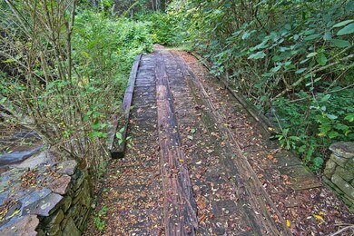 Walking Bridge to Adjacent Meadow