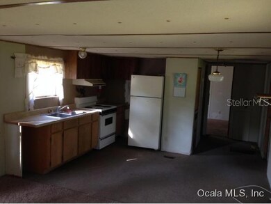 19061 SW 46th St, Dunnellon, FL 34432 - photo 3