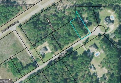 0 Oak Ridge Dr, Butler, GA 31006 - photo 5