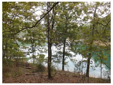 4 Oakridge Dr unit 667052, Eureka Springs, AR 72632 - photo 5