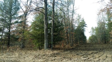 main (4)