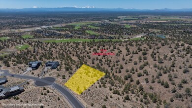 4-20240629LOT701 JILL ROSELL