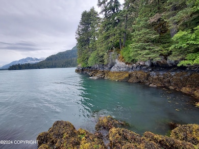 Tract B Asls 86-175 Day Harbor, Seward, AK 99664 - photo 4