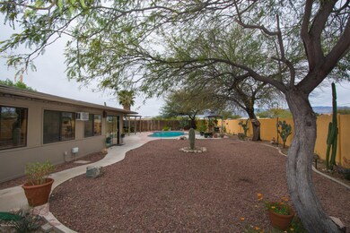 backyard-4