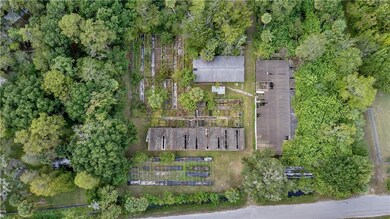 6414 Eureka Springs Rd, Tampa, FL 33610 - photo 6